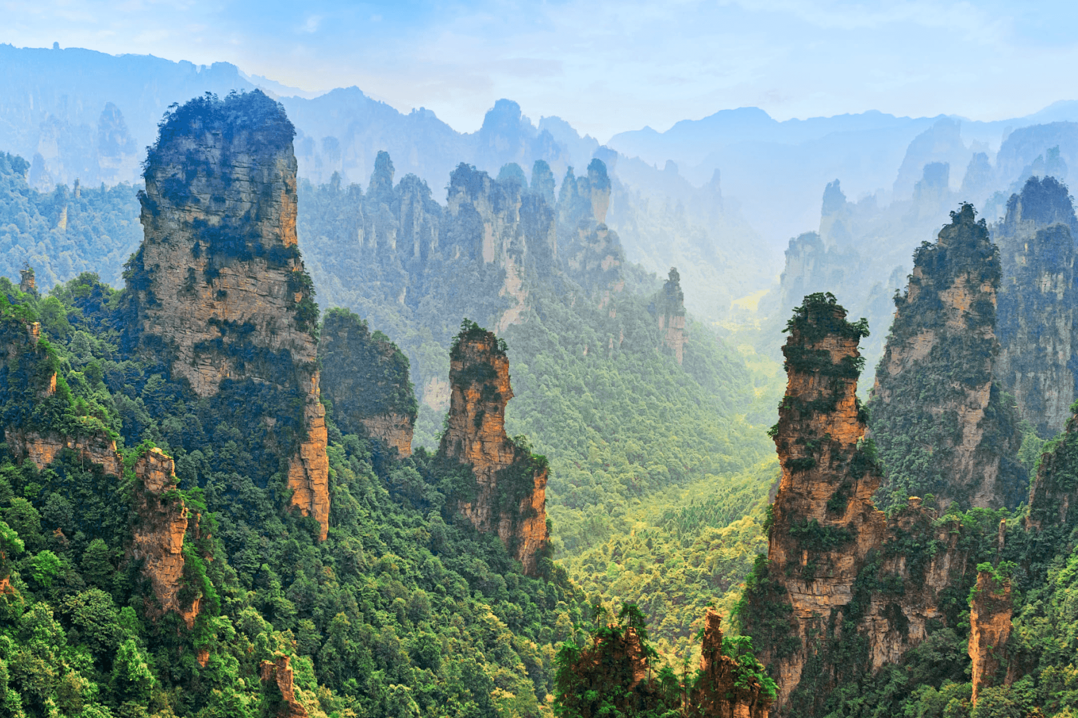 Врата в мир «Аватара»